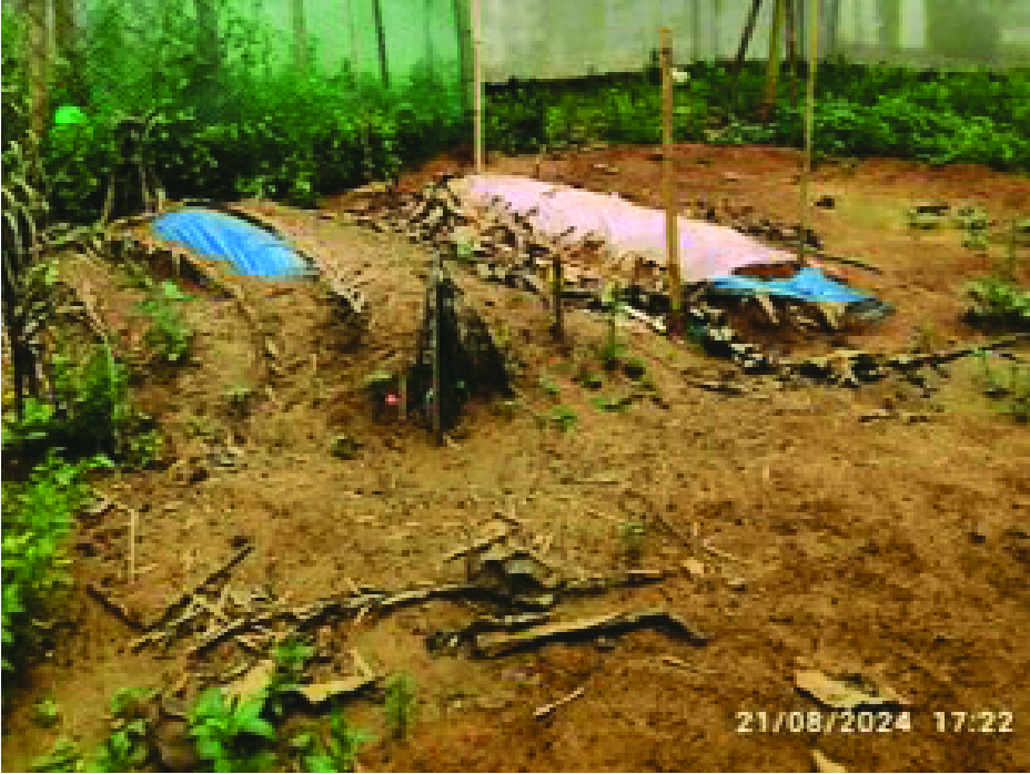 Image of হাফেজ মো: শরিফুল ইসলাম